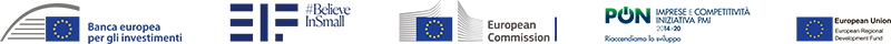 FEI Iniziative