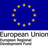 FEI Iniziative