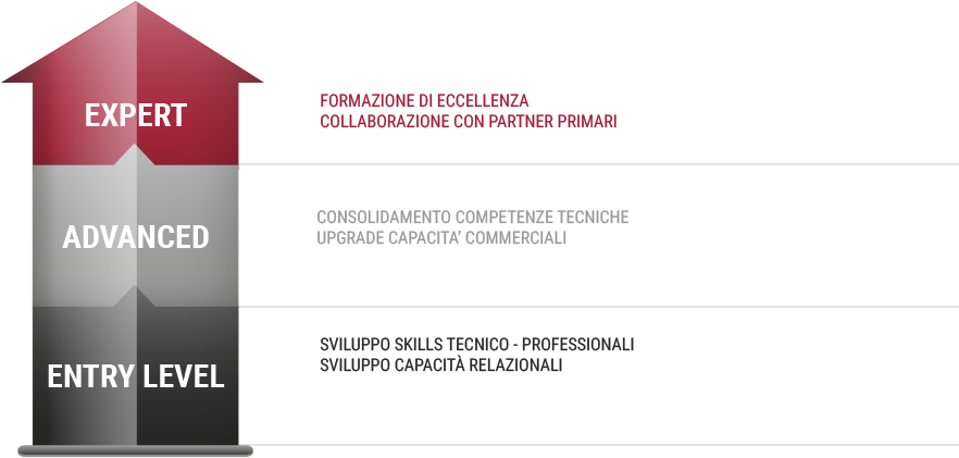 infografica formazione